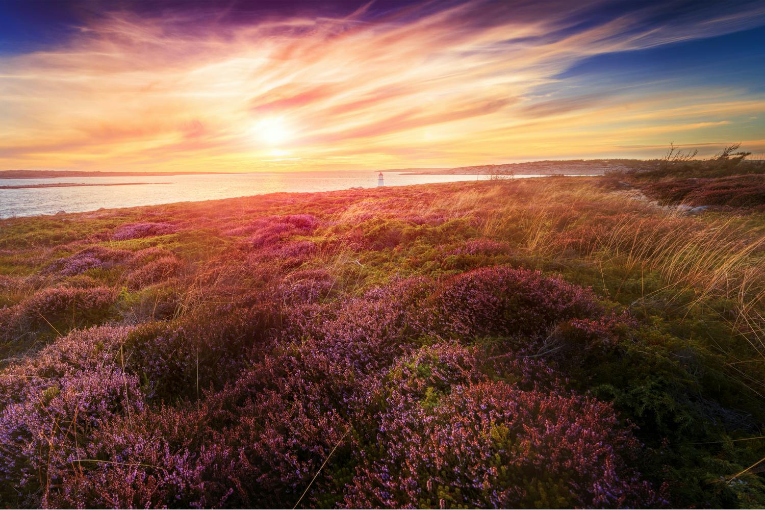 shutterstock 1702939420 1 Maisemakuva varjot.